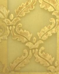 Plush Diamond Soft Gold by  World Wide Fabric, Inc. 