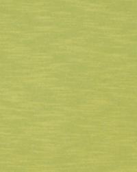 Hoot Fern Comfortable Living - Indulgence