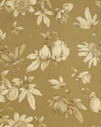 Moore 1 Fawn by  In Stock  