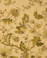 Peterborough Prorcelain by  In Stock  