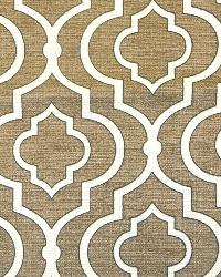 Donetta Sussex Charcoal by  World Wide Fabric, Inc. 