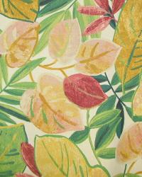 Salicito Terrace Garden Instock