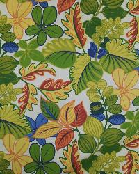 Saltillo Terrace Multi by  In Stock  
