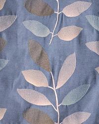Emily Steel Blue