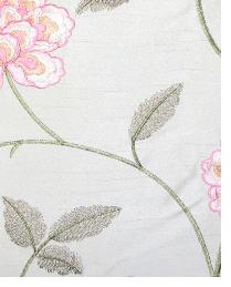 Isabella Cream by  In Stock  