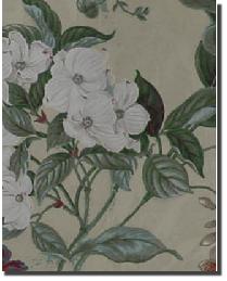 Waverly Garden Images Parchment by  In Stock  