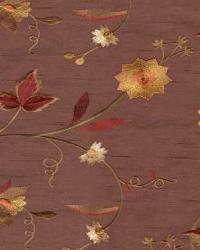 Gentle Touch Chocolate by  In Stock  