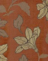 Hawaii Pacific Coral Cove by  In Stock  
