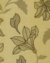 Hawaii Pacific Golden Sun by  In Stock  