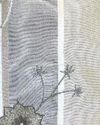 Wes Dover Natural by  In Stock  