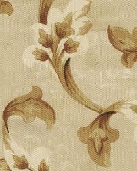 Wes Fullscreen Spice by  In Stock  