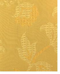  Wes Yukon Gold
