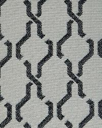 Como Ebony by  World Wide Fabric, Inc. 