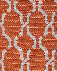 Como Orange by  World Wide Fabric, Inc. 