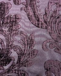 Neiman Plum Neiman
