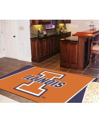 University of Illinois Area Rug