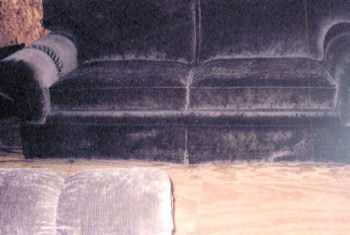 Purple velvet couch