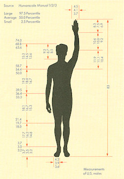 Measurements of U.S. Males
