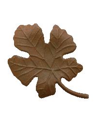 Mantle Leaf Rosette by   