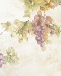 Fruit Wallpaper - Grapes - Vegetables