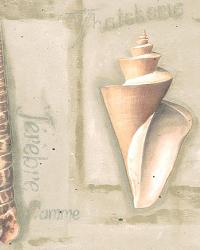 BC1581509
