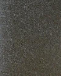 BC1581564