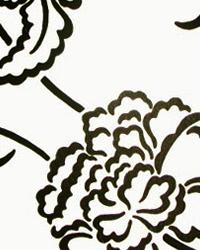 Design by Color - Black & White