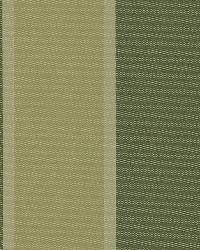 566 43959 Brown