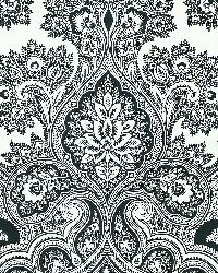 566 43974 Black & White