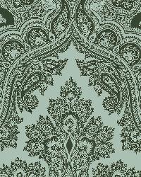 566 43978 Aqua & Brown