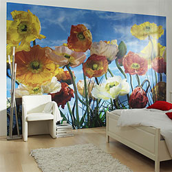 Murals - Wall Murals