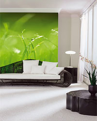 Door and Wall Murals, Stickers and Decals - Nature - Scenic - Tropical Beaches - Mountains