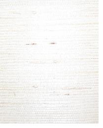 AS170