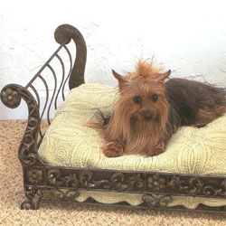 Pet Furniture - Dog Beds - Pet Feeders