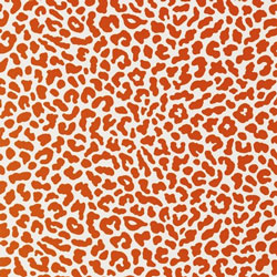 Animal wallpaper for your walls.