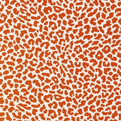 Animal print wallpaper for your walls.