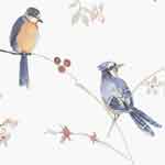 Bird Wallpapers