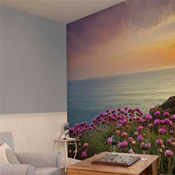 Wall Murals and kids murals for home decorating.