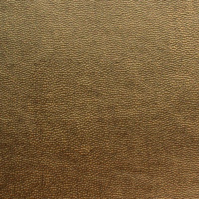Novel Rodrigo Bronze in 362 Gold  Blend Embossed Faux Leather  Fabric