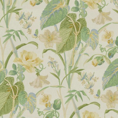 P K Lifestyles Your Grace        Buttercream in JARDIN DAMOUR Beige Bug and Insect  Large Print Floral  Modern Floral  Fabric