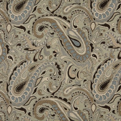 Charlotte Fabrics 10110-01 Drapery Solution  Blend Fire Rated Fabric Heavy Duty CA 117 Outdoor Textures and PatternsClassic Paisley 