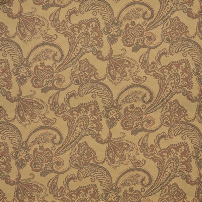 Charlotte Fabrics 10117-01 Drapery Solution  Blend Fire Rated Fabric Heavy Duty CA 117 Outdoor Textures and PatternsClassic Paisley 