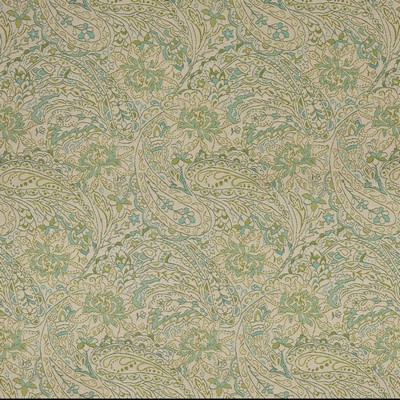 Charlotte Fabrics 10140-01 Drapery Solution  Blend Fire Rated Fabric Heavy Duty CA 117 Floral Outdoor Classic Paisley 