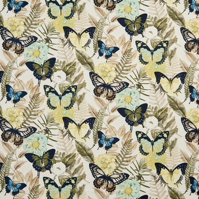 Charlotte Fabrics 20470-02 Drapery polyester Fire Rated Fabric Bug and Insect Heavy Duty CA 117 Classic Tropical 