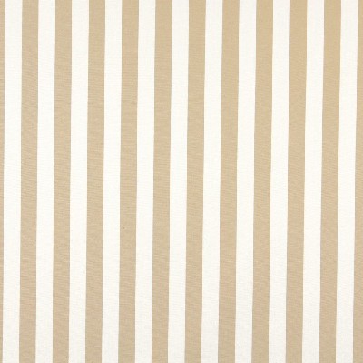 Charlotte Fabrics 2484 Sand Canopy Beige Upholstery Solution  Blend Fire Rated Fabric