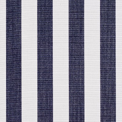 Charlotte Fabrics 2491 Navy Canopy White Upholstery Solution  Blend Fire Rated Fabric