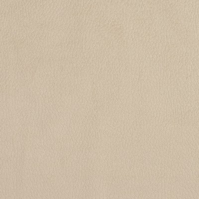 Charlotte Fabrics 2926 Ecru Beige Multipurpose Woven  Blend Fire Rated Fabric High Wear Commercial Upholstery CA 117 Microsuede 