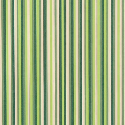 Charlotte Fabrics 30040-01 Green Multipurpose Solution  Blend Fire Rated Fabric High Performance CA 117 Stripes and Plaids Outdoor Small Striped Striped 