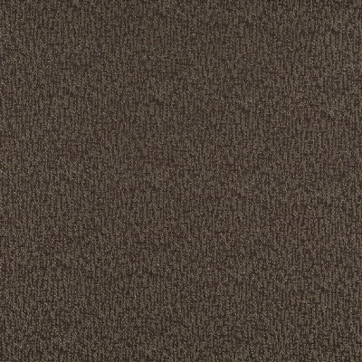 Charlotte Fabrics 3766 Walnut Brown polyester  Blend Fire Rated Fabric High Performance CA 117 
