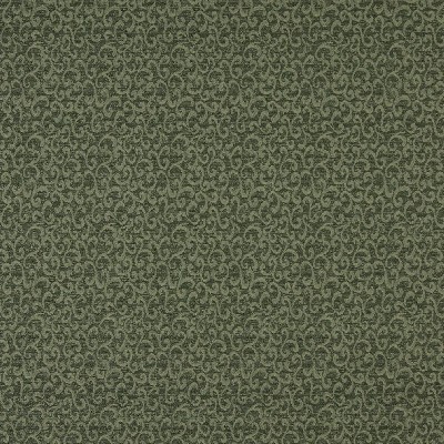 Charlotte Fabrics 5248 Cypress Green Upholstery Olefin28%  Blend Fire Rated Fabric